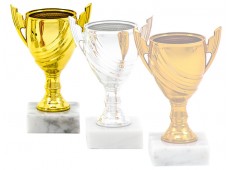 6863 A - Economy Cup